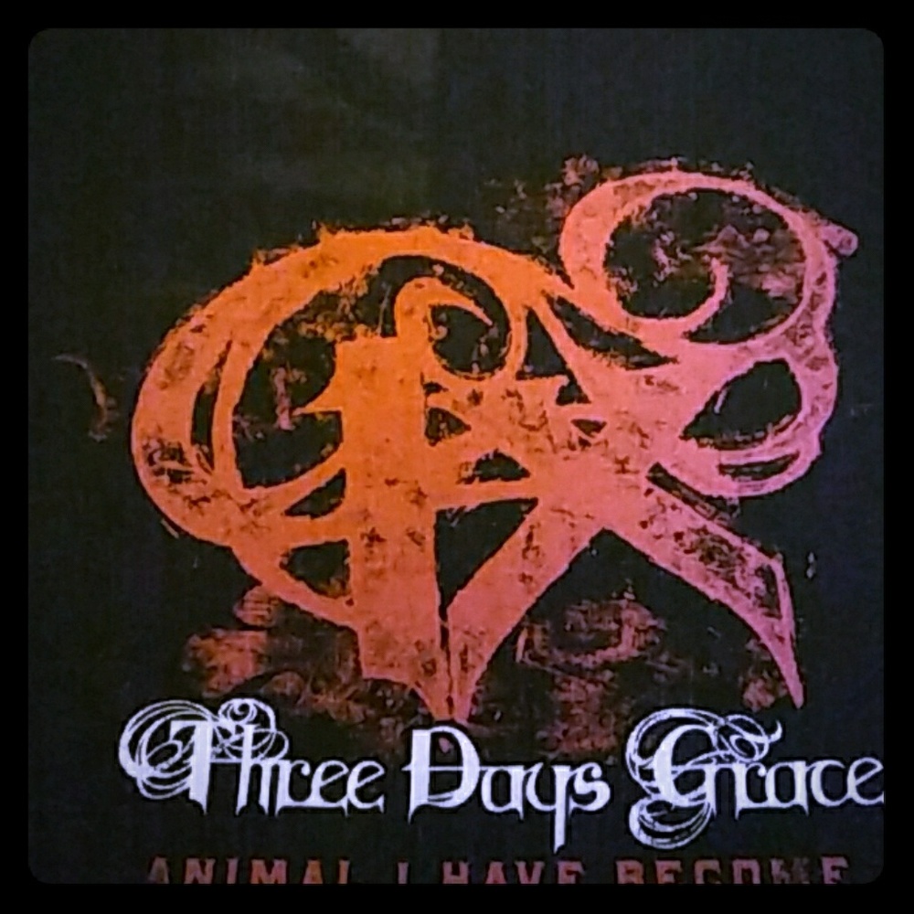 Three Days Grace Concert Large t-shirt